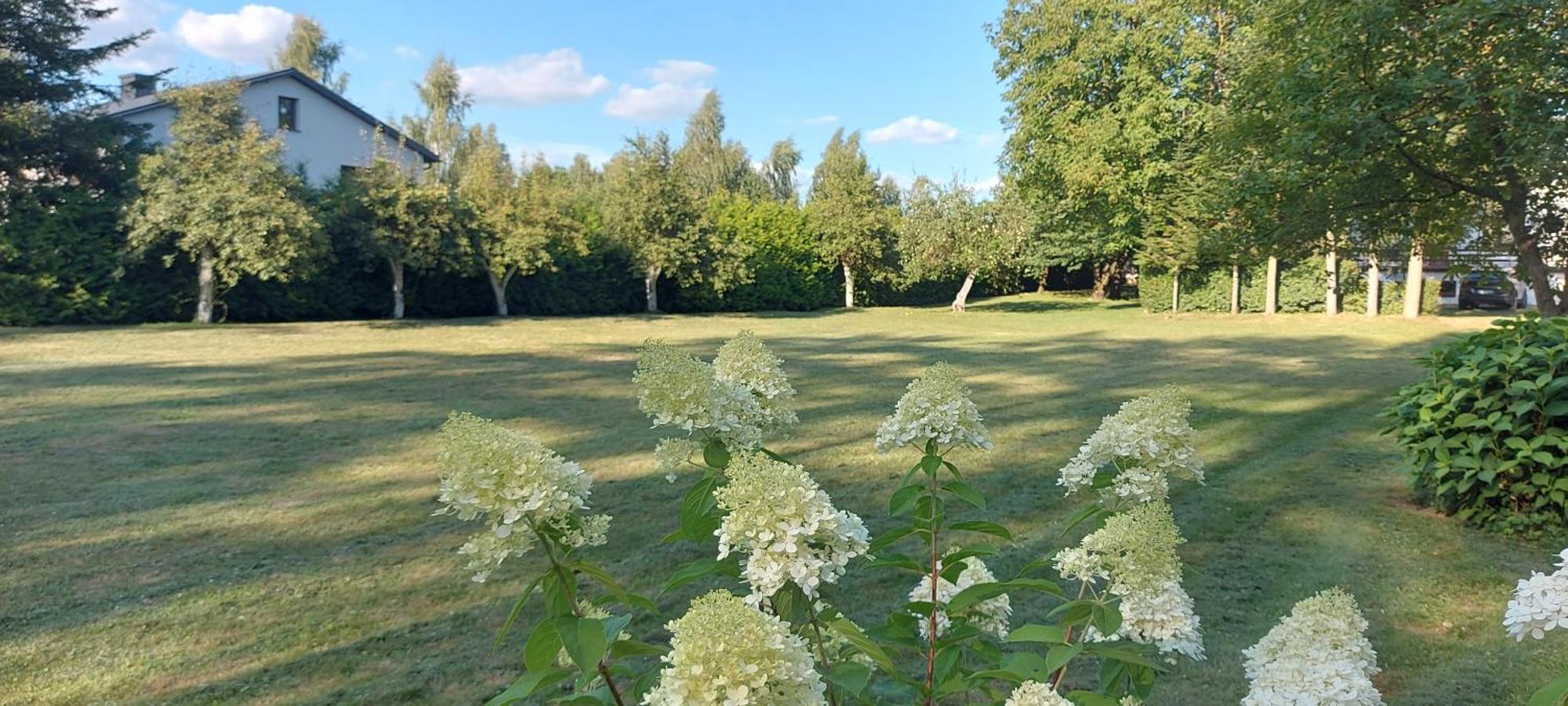 Pokoje Goscinne Stokrotka Nałęczów Extérieur photo