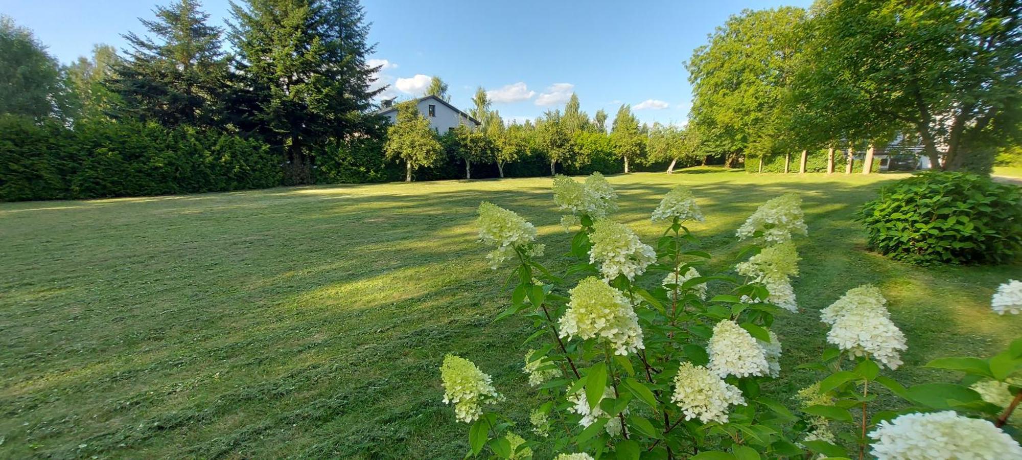 Pokoje Goscinne Stokrotka Nałęczów Extérieur photo